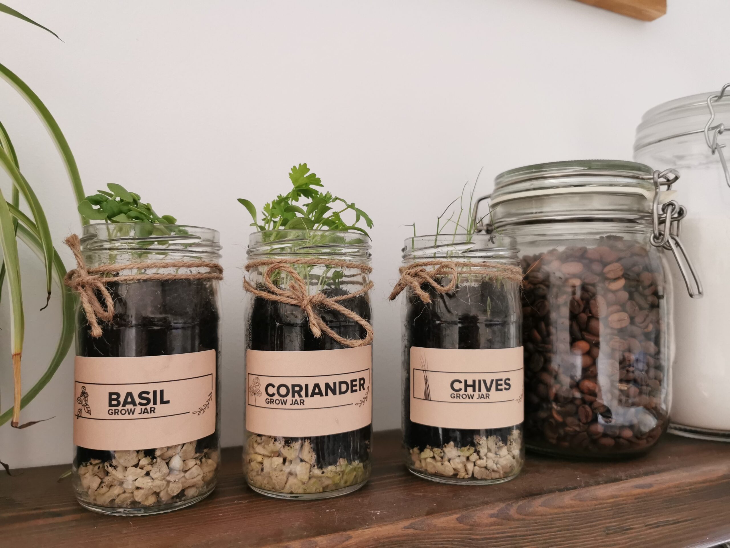 eco friendly gift - herb garden